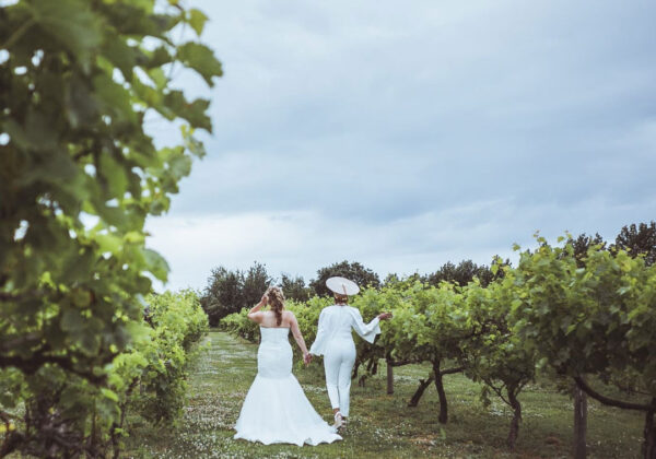 WEDDING COUPLE IN VINEYARD AT LA MARE WINE ESTATE