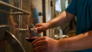 Winemaker pouring red wine into a glass from a barrel at La Mare Wine Estate