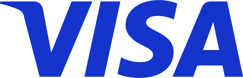 visa payment method icon